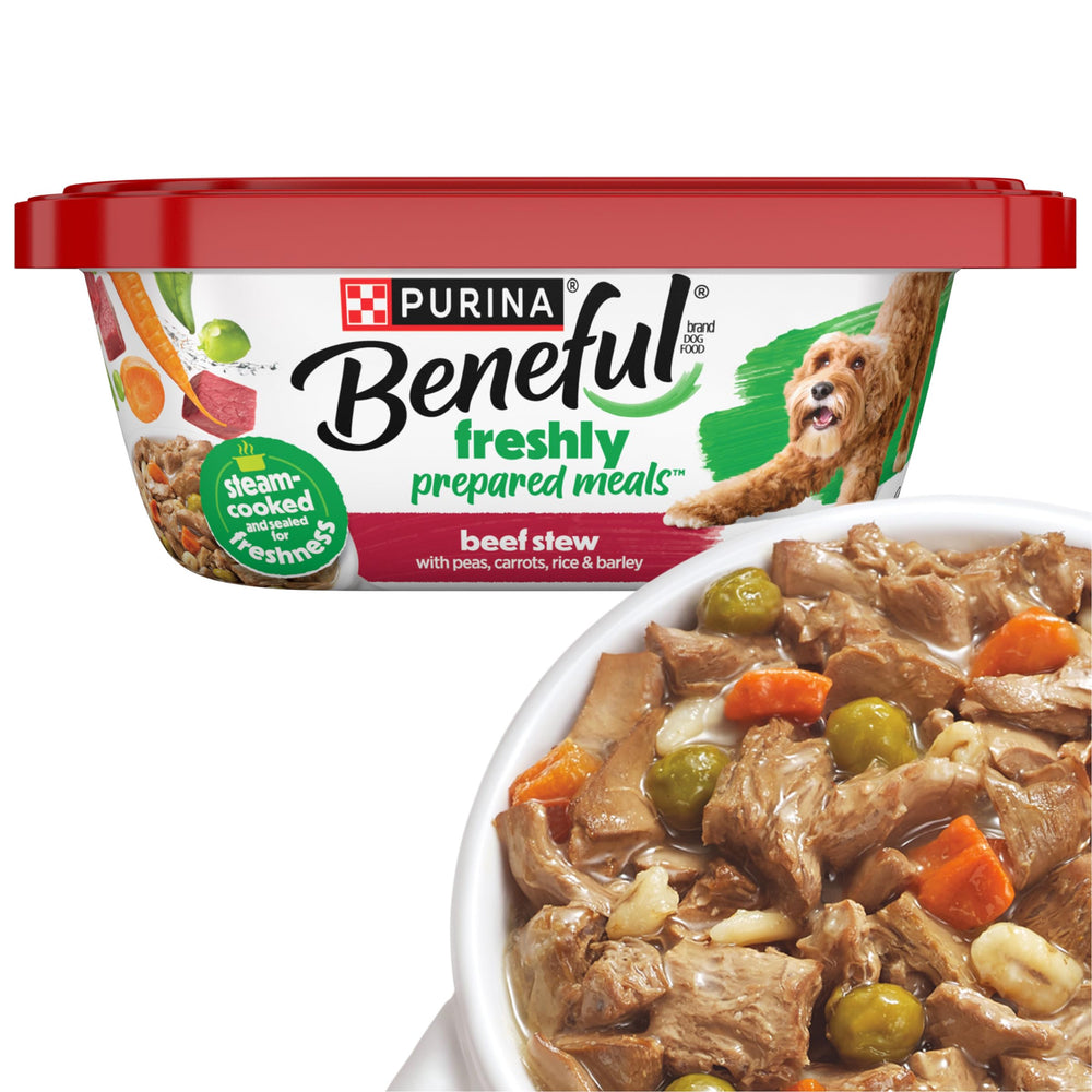 Beneful beef stew tub front with branding and packaging clearly visible.