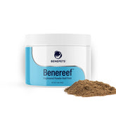 Benereef powder tub labeled shows reef nutrition supporting coral color and growth.