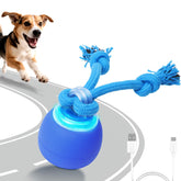 BENTOPAL interactive touch-activated ball engaging dogs during playtime