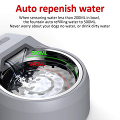 BENTOPAL removable stainless steel bowl for easy cleaning