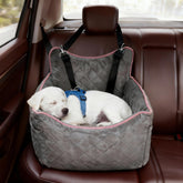 Benzoyl dog car seat with elevated view improves visibility for a medium dog