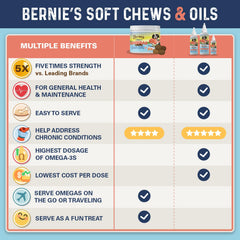 Bernie's OMG! Omegas Chews salmon flavor image, a flavorful omega supplement dogs enjoy.