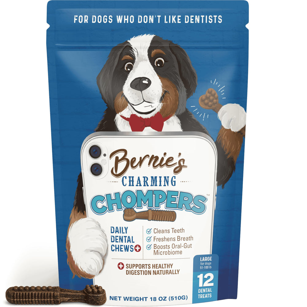 Bernie's Charming Chompers teeth-cleaning action for dogs 50–100 lbs.