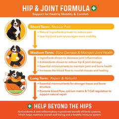 Close-up of Bernie's Healthy Hips chews highlighting tasty texture for dogs.