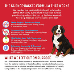 Bernie's Marvelous Mobility dog paw print emphasizes active lifestyle and joint care integration
