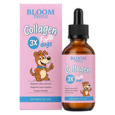 BERSEG Bloom Collagen bottle shown for easy daily dosing and joint support.
