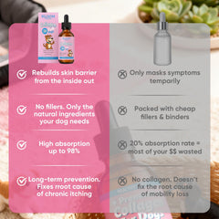 BERSEG Bloom Collagen label detail shows Biotin and Hyaluronic Acid for skin support.