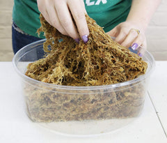 Besgrow Spagmoss dried to preserve low salts and cleanliness.