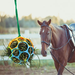 Besimple horse feeder ball hanging red to brighten stalls and entertain.