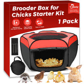 Besly Brooder Box open with chicks inside showing quick setup.