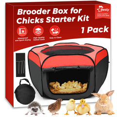 Besly Brooder Box open with chicks inside showing quick setup.