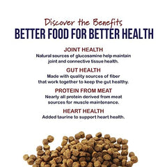 Best Breed Digestive Health Formula in bowl supports balanced digestion for large dogs.