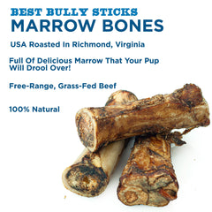 Dog enjoying Best Bully Sticks marrow bone during chew session