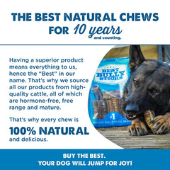 Dog enjoying Best Bully Sticks beef trachea chew during playtime