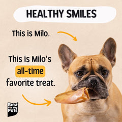 Oven-roasted pig ears from Best For My Pets release natural pork flavors.