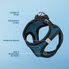 Best Pet Supplies reflective bands night visibility for safer walks