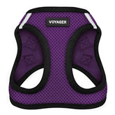 Best Pet Supplies All Weather Mesh Harness on a small dog for comfortable year-round walks.