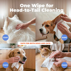 Best Pet Supplies face-ear-paw-cleanse wipes gentle cleaning for sensitive areas