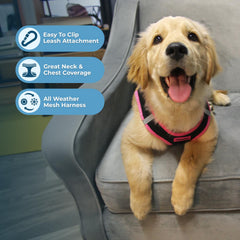 Best Pet Supplies plush-soft strap harness for gentle, secure control on pets