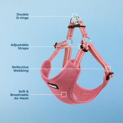 Best Pet Supplies Voyager adjustable straps with quick clip secure without fuss.