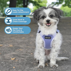 Voyager breathable air mesh from Best Pet Supplies keeps dogs cool on adventures.