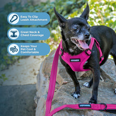 Breathable mesh fabric on Voyager harness keeps dogs cool during outdoor activities
