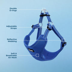Close-up clip showing quick, secure fastening on the Voyager harness.