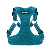 Best Pet Supplies Voyager turquoise step-in design for quick, secure harnessing
