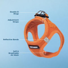 Two reflective bands on Voyager harness visible at dusk for better visibility