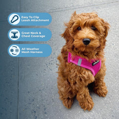 Best Pet Supplies Voyager harness adjustable straps ensure a secure, comfortable fit.