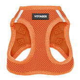 Best Pet Supplies Voyager orange step-in air harness for dogs and cats