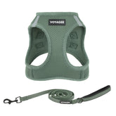 Best Pet Supplies Voyager step-in mesh harness for quick, easy on/off during walks.