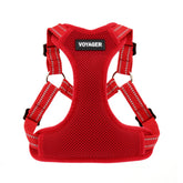 Best Pet Supplies Voyager step-in harness with breathable mesh for daily walks