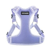 Best Pet Supplies Voyager step-in harness in lavender; easy entry for calm morning walks.