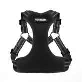 Best Pet Supplies Voyager step-in harness shows breathable mesh for cool walks