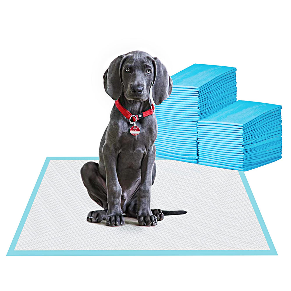 BESTLE large dog potty pad in package shows 24x24 size for training and protection.