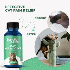 BestLife4Pets cat joint supplement being mixed into food