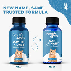 Close-up of BestLife4Pets Cat UTI Remedy bottle designed for home use.