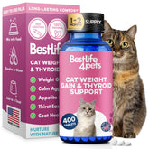 BestLife4Pets cat weight gainer bottle supports daily eating and coat health.