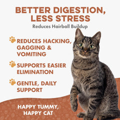 BestLife4Pets Hairball B-Gone tiny pellets ready to mix with cat food.