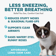 BestLife4Pets pill-mixing-in-food demonstrates seamless blending with meals.