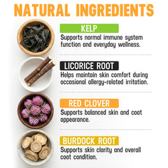 Close-up of Better Dog Skin Magic bottle showing herbal ingredients for skin comfort