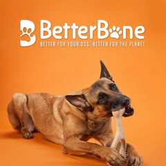 BetterBone trident wishbone design emphasizes ergonomic grip during chewing.