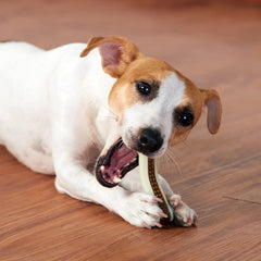 BETTEPROD bone-shape design helps dogs grip and reduces boredom during chews.