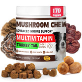 BevinMugford Turkey Tail for Dogs bottle promoting daily immune support.