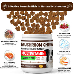 BevinMugford Turkey Tail for Dogs ingredients close-up with mushrooms and probiotics.