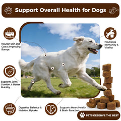 BevinMugford Turkey Tail for Dogs soft chews designed for joints and mobility.