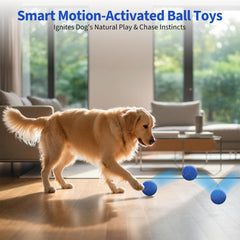 BFFWOW dog ball in normal mode provides steady movement for daily exercise and fun.