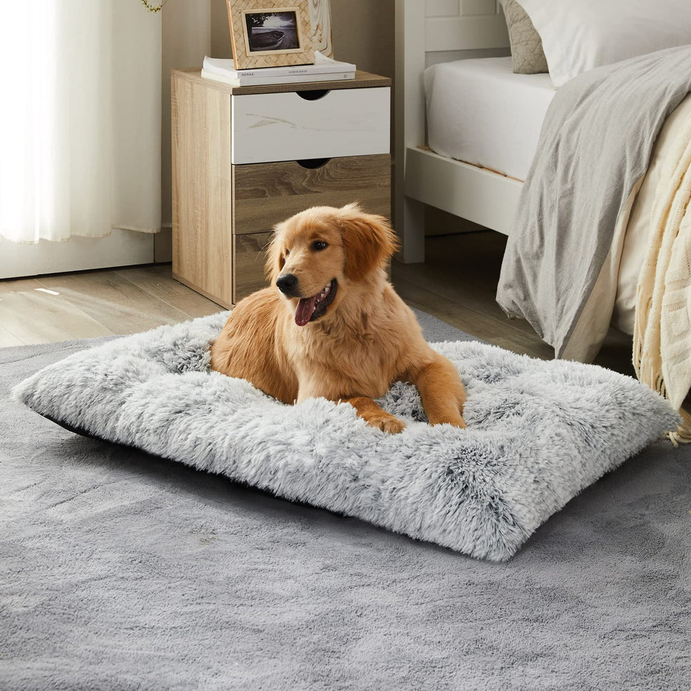 BFPETHOME dog bed with plush surface for cozy comfort and warmth.