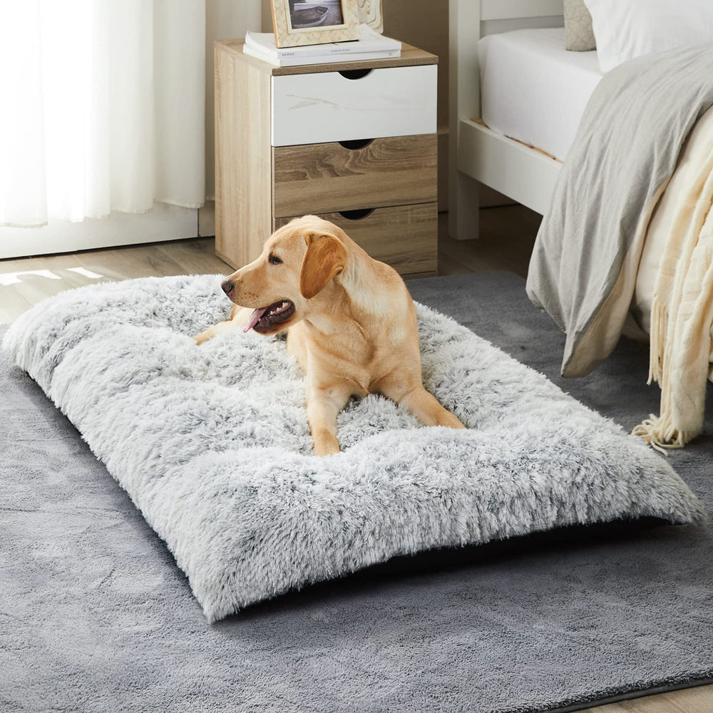 BFPETHOME large dog bed plush cover offers cozy comfort for restful naps.